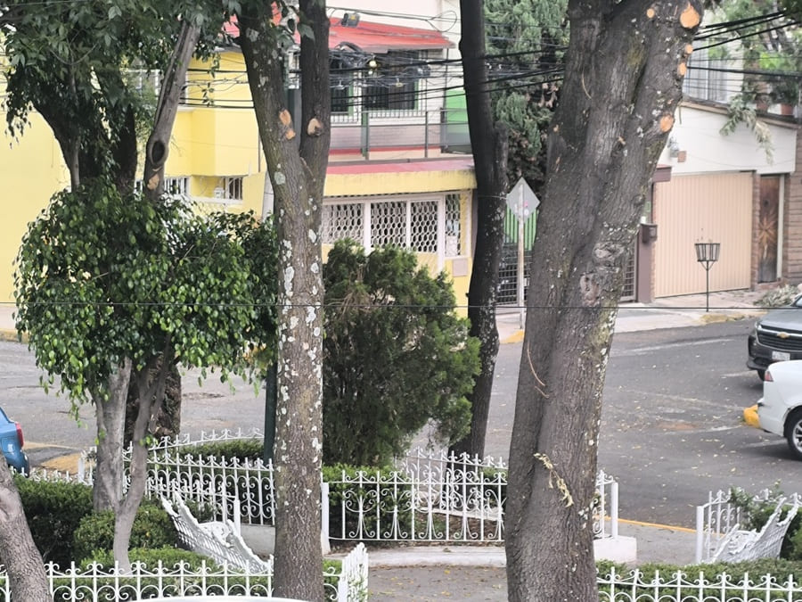 Triangulito
